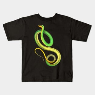 Dramabite Snake Green Yellow Realistic Cute Colorful Animal Ophiology Kids T-Shirt